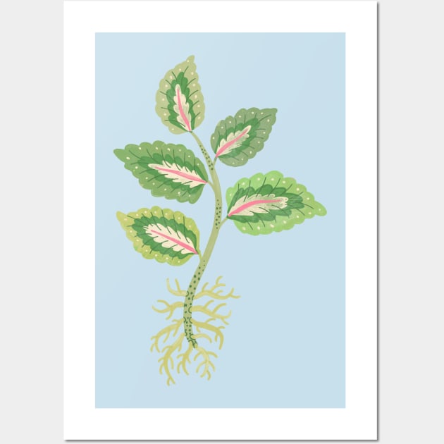 Coleus Cutting Wall Art by Rebelform